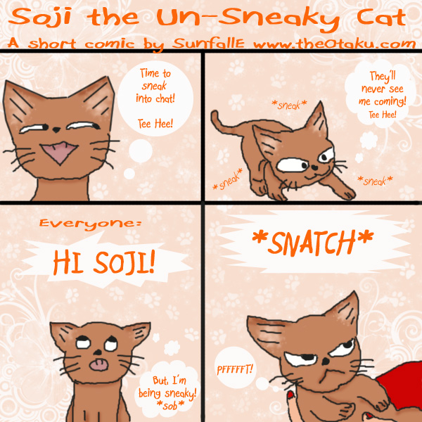 Soji: the un-sneaky cat