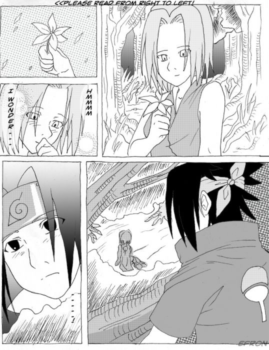 Saku.sasu Fan Doujin