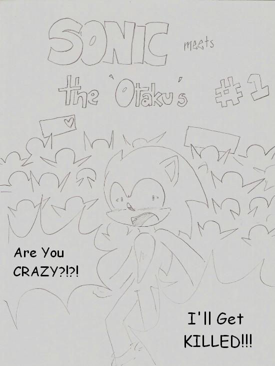 Sonic Meets The Otakus