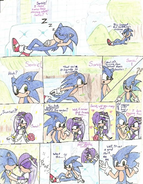 Sonic's Dream & Sunset's Nightmare