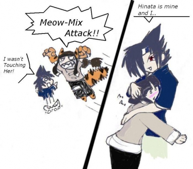 Meow-mix Attack