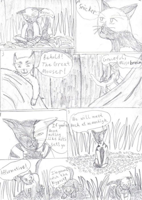 Cat Tales