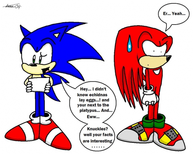 Knuckles the echidna is disturbed XD