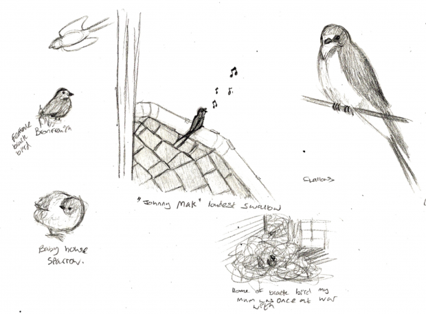 30 Day Art Improvement Challenge